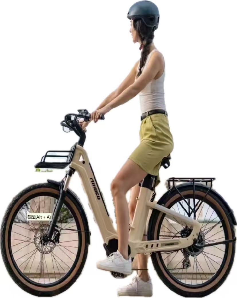 E-BIK electric bicycle — complete product view